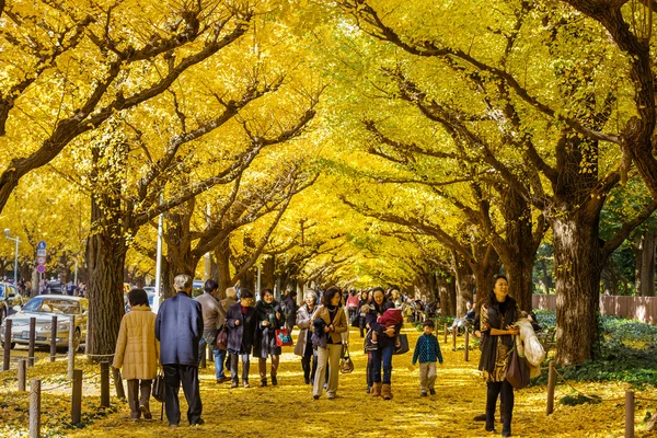 Rua Icho Namiki em Tóquio — Fotografia de Stock