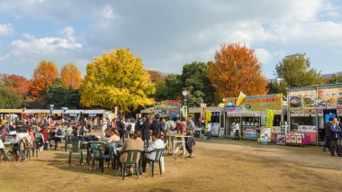 Meiji tapınak sonbahar Tokyo'da Fuarı