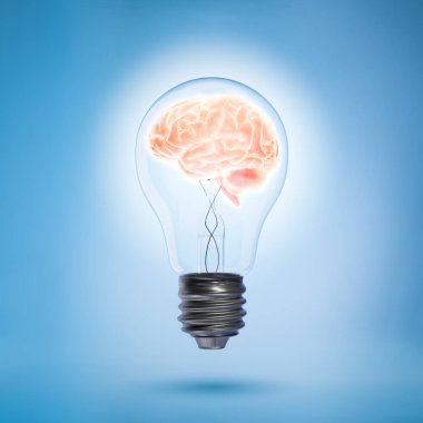 3D Rendering of a Human Brain Glows inside of a Light Bulb