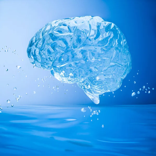 Рендеринг Чистой Жидкой Воды Человеческий Мозг — стоковое фото