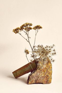 Kozmetik ürünleri sergilemek için taş ve kuru çiçek. Doğal dokuların soyut bileşimi. Tarafsız bir zeminde taşlar ve kuru dallar. Model