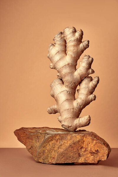 Food balance and levitation. The ginger stands on the stone. Balance of fruits on a brown background.