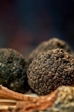 A whole black truffle on bark. Selective focus, close-up. Noise grain in post-production