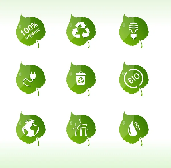 Eco labels isolated — Stock Vector