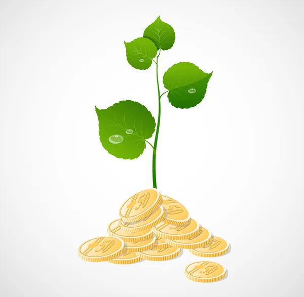 Vector coins and plant — Stock Vector