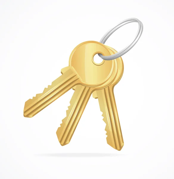 Vector gouden sleutels bos — Stockvector