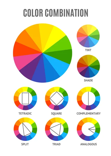 Different Color Circle Palette Combination Set. Vector — Stock Vector