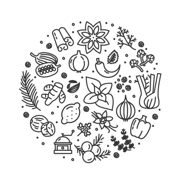 Spices and Herbs Round Design Template Contour Lines Icon Concept. Vector — 스톡 벡터