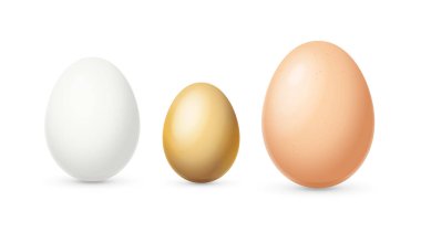 Gerçekçi Ayrıntılı 3d Farklı Renkler ve Boyutlar Kümesi. Vektör