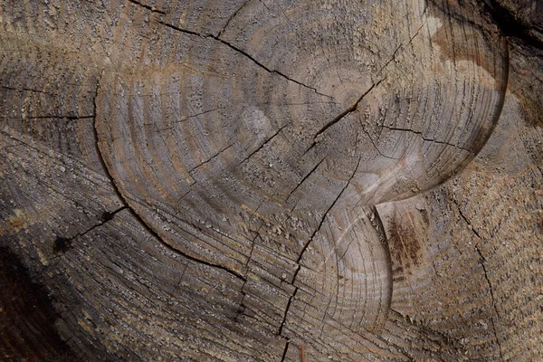 Kulatý Kus Dřevěného Pařezu Textura Starého Dřeva Prasklinami Kůrou — Stock fotografie