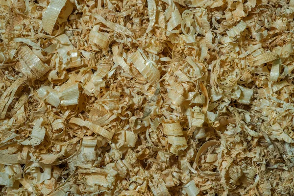 Close Pile Wood Chips Shallow Dof — Stock Photo, Image