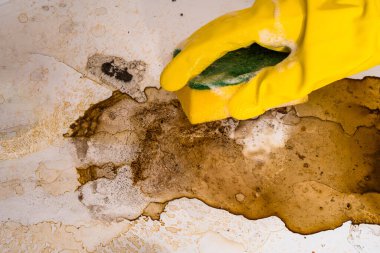 Sarı lastik eldivenli bir el gaz sobasını yıkar..