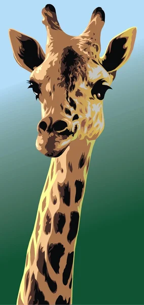 Indrukwekkende giraffe — Stockvector