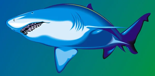 Grand requin — Image vectorielle