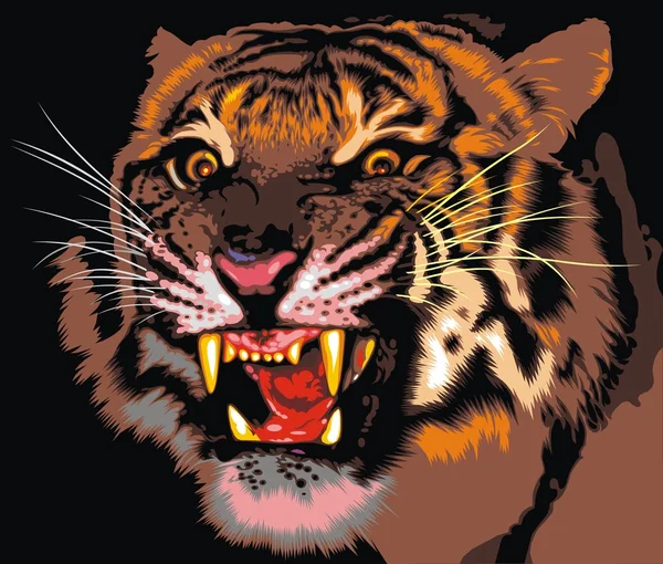 Tiger of the jungle — Stock Vector