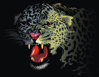 ormandan gelen leopar