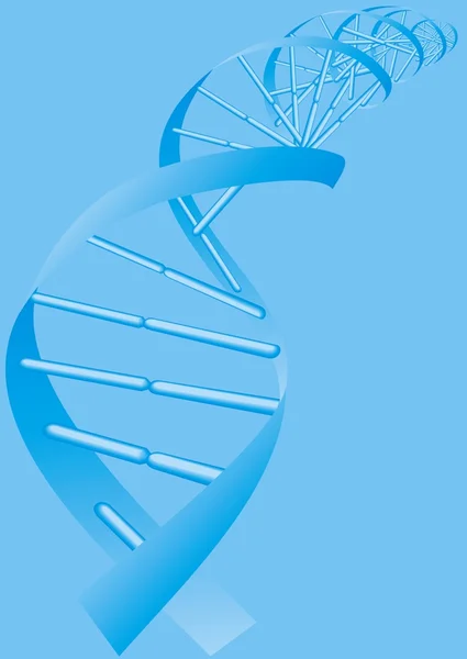 DNA spiral — Stock Vector