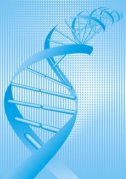 Espiral de ADN — Archivo Imágenes Vectoriales