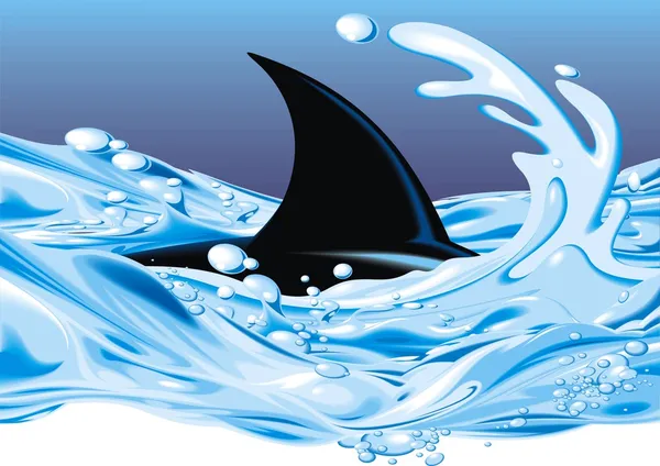 Žralok ve vodě — Stockový vektor