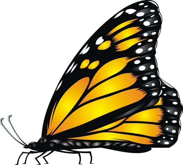 Mariposa amarilla — Vector de stock