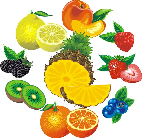 Kivi, ananas portakal ve diğer meyveler — Stok Vektör