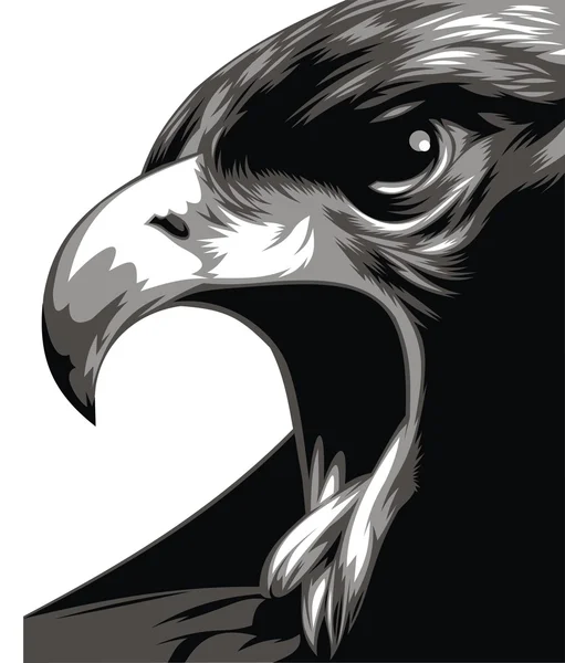 Cabeza de águila en blanco y negro — Vector de stock