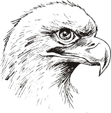 Kartal Kafa