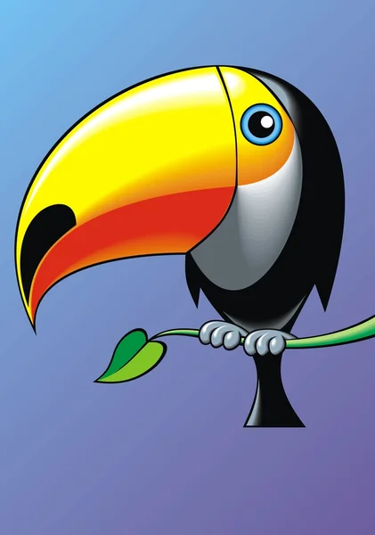 Nice toucan — Stock Vector