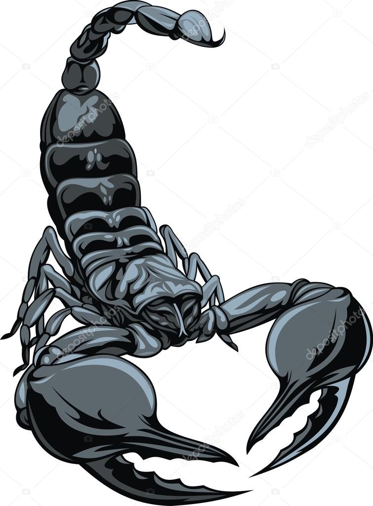 nice scorpion