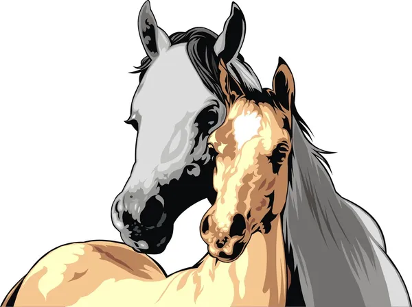 Bonitos caballos — Vector de stock