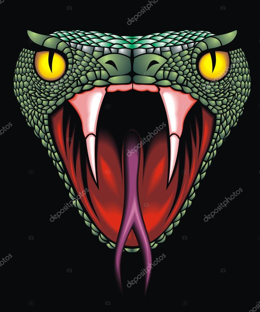 1,853 ilustraciones de stock de Cabeza de la serpiente | Depositphotos®