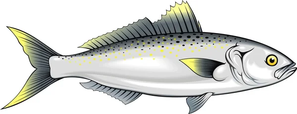 Poisson de saumon — Image vectorielle