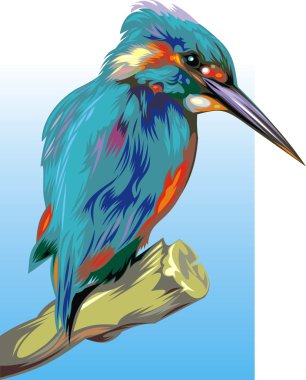 kingfisher clipart