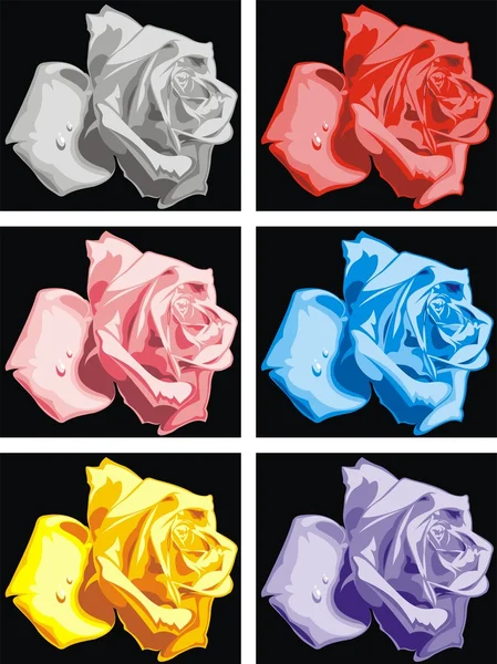 Colour roses on the black background — Stock Vector