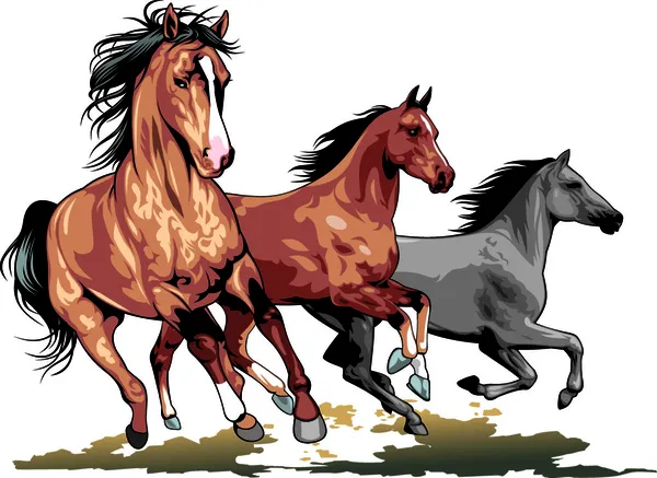 Дикие лошади — стоковый вектор