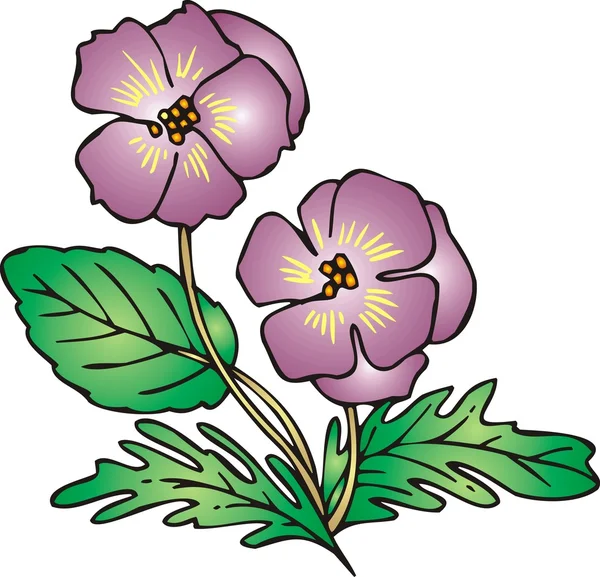 Veilchenblüte — Stockvektor