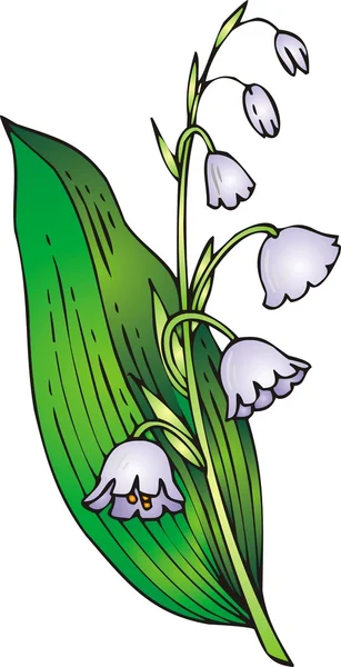 Lilly of valley — Stock Vector