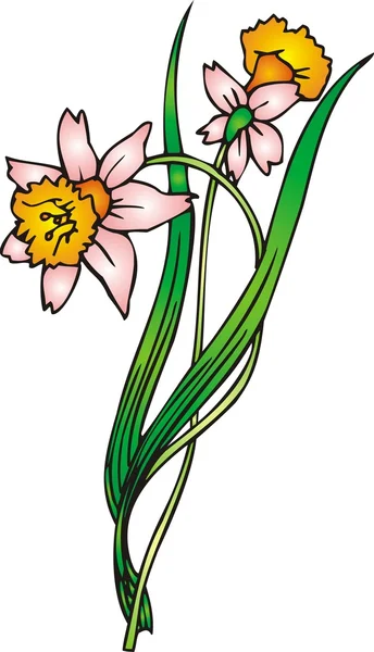 Flor de primavera — Vetor de Stock
