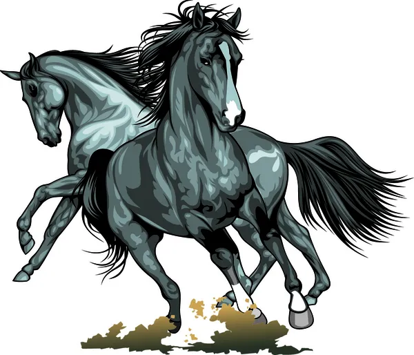 Cavalli selvatici — Vettoriale Stock