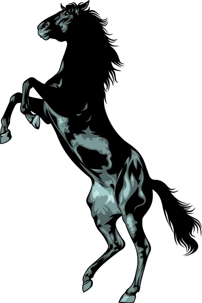 Czarny dziki koń — Wektor stockowy