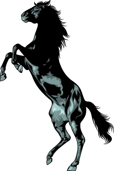 Black wild horse — Stock Vector