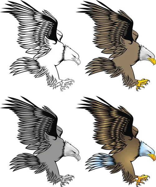 Bel aigle — Image vectorielle