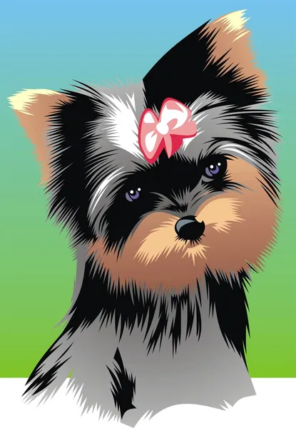 Nice yorkie — Stock Vector