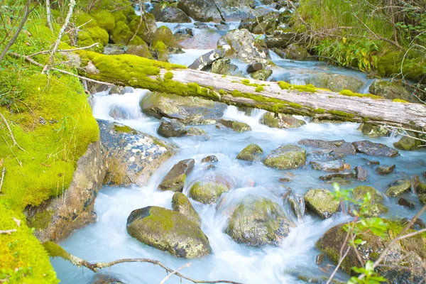 Snelle stream stromen onder mossy keien — Stockfoto