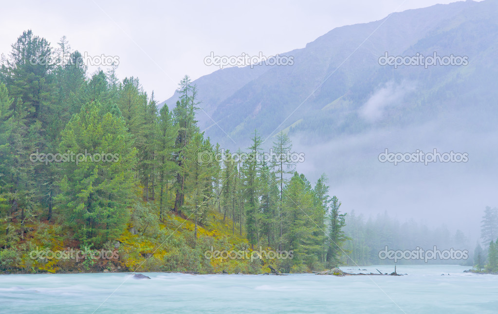 Misty mountain landscape with the river