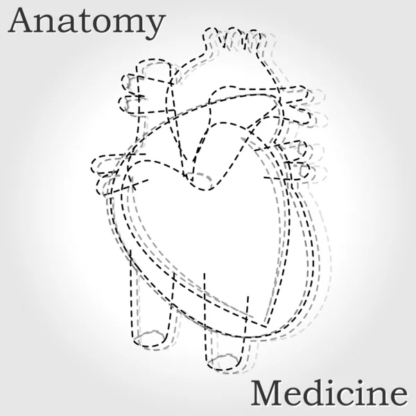Медицинское сердце — стоковый вектор
