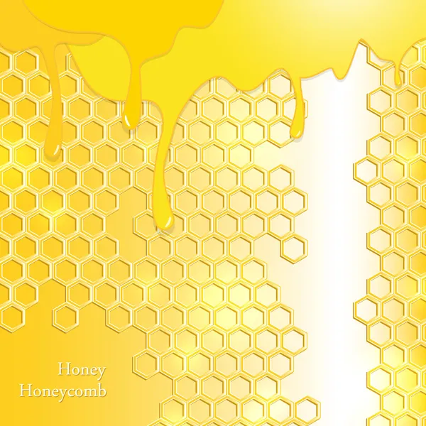 Honung, honeycomb — Stock vektor