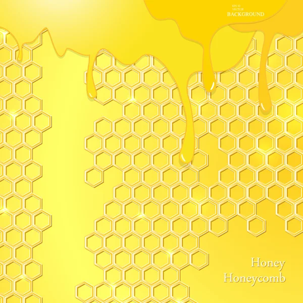 Honing, honingraat — Stockvector