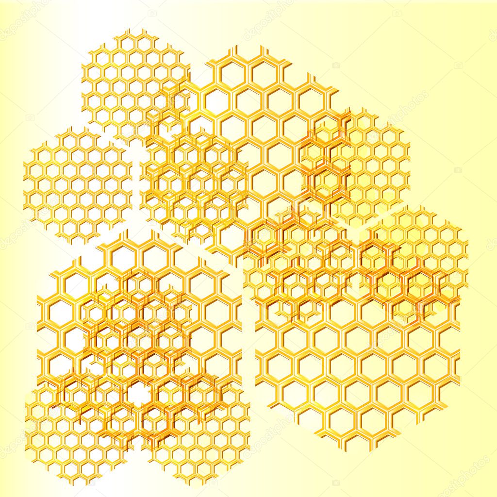 Honey, honeycomb