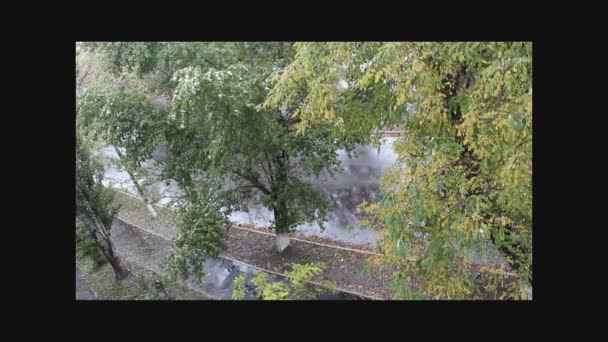 Calle, otoño, nieve — Vídeos de Stock